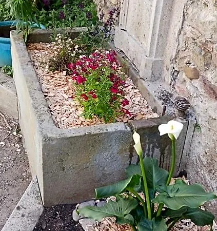 Le 9 De Cour, Kiwi Bed & Breakfast Carcassonne